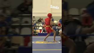 Sanda combo - Wushu #wushusanda #sandawushu #wrestling #takedown