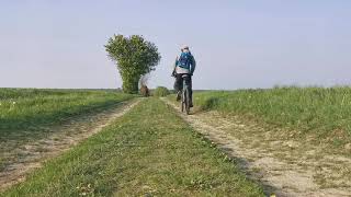 Gowes Melihat Kebun Raps Oil