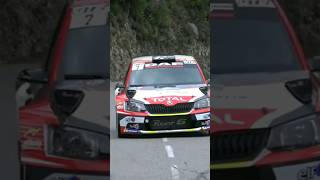 WRC Rally 2019 || Crash and Mistakes 4#shorts