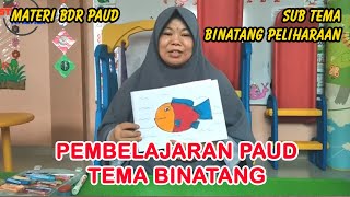 Video Pembelajaran Paud | Cara Membuat Origami Kepala Kucing, Menggambar & Mewarnai Ikan