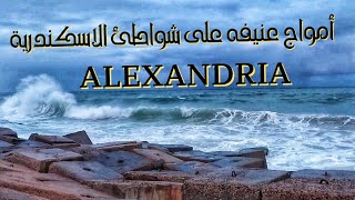 شاهد واستمع للبحر ‼️ أمواج عنيفه على شواطئ الإسكندرية