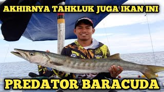 MANCING IKAN BARAKUDA BABON || JEMPONG MANCNG#JM-06