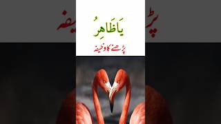 Dil Ka Noor Wazifa #youtubeshorts #ytshorts