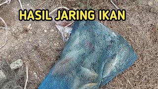 HASIL BERBURU IKAN