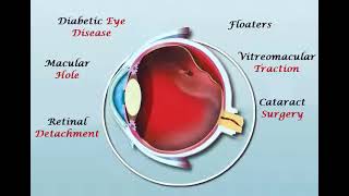 Treatments And Surgery by Private Practicioner