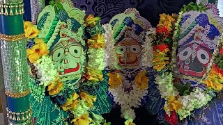 Ratha Yatra Special live telecast