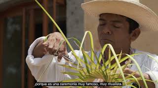 Palo volador en Los Pinos: siembra y vuelo