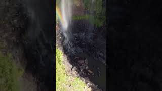 Purling Brook Falls, Springbrook National Park Gold Coast