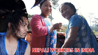 NEPALI WORKERS IN INDIA MEGHALAYA