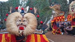 SOLAH PEMBARONG KEREN DADAK MERAK REOG PONOROGO SINGO ABIYOSO NGRUKEM #reogponorogo #dadakmerak#reog