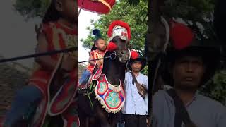 Gagah banget kudanya - horse dance videos #shorts #kuda #kudarenggong #naikkuda #viralvideo #fyp