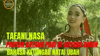 pantun Sayang Batang padi di goyang angin ( dialek Natai Ubah) #dayakborneo #lagudayak