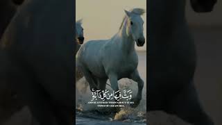 مقطع قرأني ١٨٣١