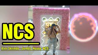 Alex Skrindo - Jumbo  House  NCS -REMIX by Dj RENILO REMIX