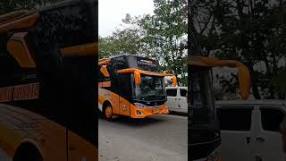 Bus Fajar Riau Wisata #shorts #fajarriauwisata #ayonaikbus