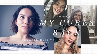 JOURNEY TO CURLY HAIR 2018 // Get Your Bounce Back! | Sincerely, Steph