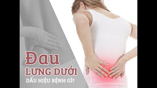 Đau lưng cảnh báo những bệnh lý nguy hiểm bạn có thể chưa biết