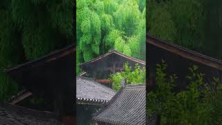 feel the peace in rain #shorts #youtubeshorts #viral #viralvideo