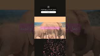 اسماء بنات من  القرآن ٢٠٢٤#اسماء #اسماء _من _الجنه #اسماء #اسماء_بنات#معنى _مريم اخفاء