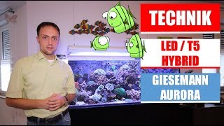 Giesemann Aurora - detailierter Review inkl. Bluetooth App