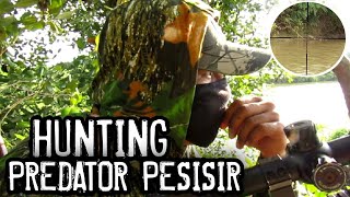 HUNTING PREDATOR || Berburu biawak pesisir