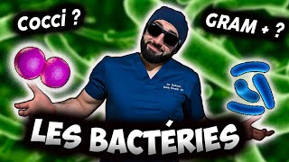 BACTÉRIES : LE GUIDE ULTIME 🦠