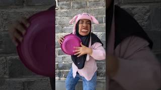 Funny video cicak joget