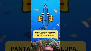 Ternyata Dory.....Pantas saja dia.....🤦🤣