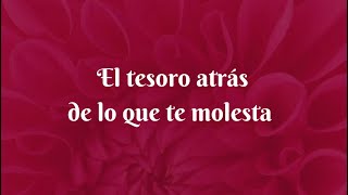 El tesoro detrás de lo que te duele o molesta