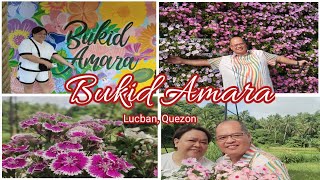 Bukid Amara, Lucban Quezon - Flower, Melon and Vegetable Farm