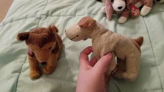 Ty Beanie Babies Dogs Collection Pt 1