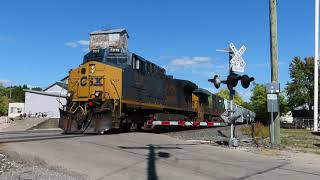 CSX M313 w/ CM44AC 7019 Leading (Nice K5LA) - Fortville, IN 9/24/23