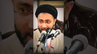 Molana Syed Shahenshah Hussain Naqvi - Shia Status -#shorts #viral