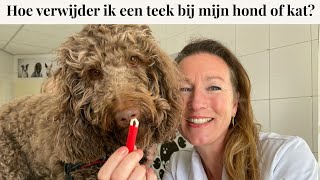 Hoe verwijder ik een teek bij mijn hond of kat? | Instructievideo