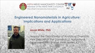 Engineered Nanomaterials in Agriculture: Implications and Applications