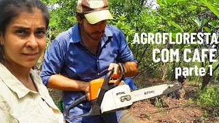 PODA DE ÁRVORES FRUTÍFERAS EM AGROFLORESTA - "Agrofloresta com Café" (parte 1)