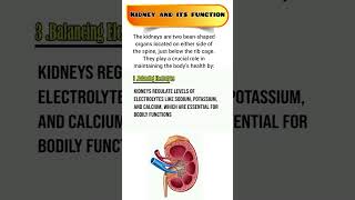 kidney function.Renal function.kidney and its function#kidneyfunction||medical knowledge pk