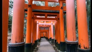 Fushimi Inari December 2022