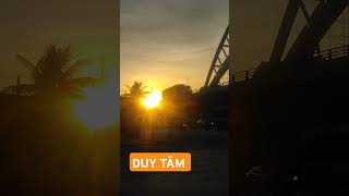 CÂY THÙY DƯƠNG DUY TÂM FACEBOOK 🇻🇳