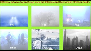 Difference between Smog and fog, know the difference and their harmful effects on health