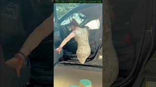 Can this girl drive a car without legs 🤯 Wood working with art handcraft ideas | skill-art #shorts