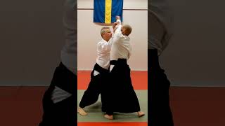 Aikido against PUNCHES (tsuki),  by Stefan Stenudd