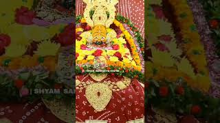 sanvariya kar do beda paar Khatu Shyam new bhajan #video #viralvideo #shorts #tranding