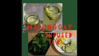 MORINGA OLEIFERA (Malunggay) INFUSED TEA - AFFORDABLE & EXTRA HEALTHY