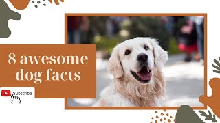 8 awesome dog facts