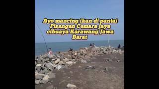 Mancing di pantai Pisangan Cemara jaya cibuaya Karawang Jawa