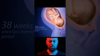 baby Growth 3D Animation Video #shorts #tranding