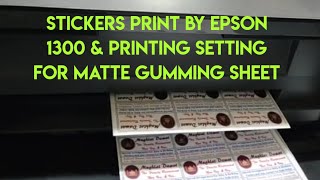 stickers print by inktank printer|Matte sheet par kya setting karen speed ke liye