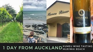 Auckland Day Trip, NZ 2018 - Kumeu Wine Region + Muriwai Beach