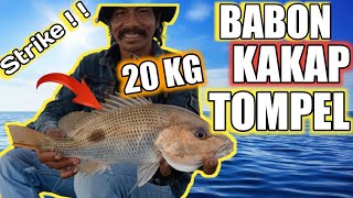 Mancing Kakap Tompel Babon Di Laut Wotu